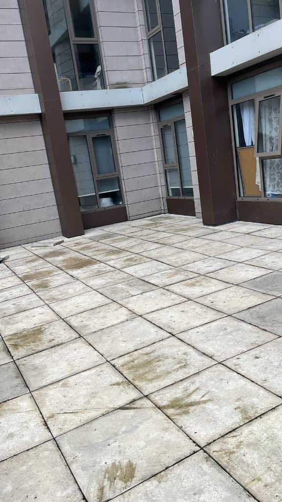 The same courtyard paving after pressure washing, with the algae removed