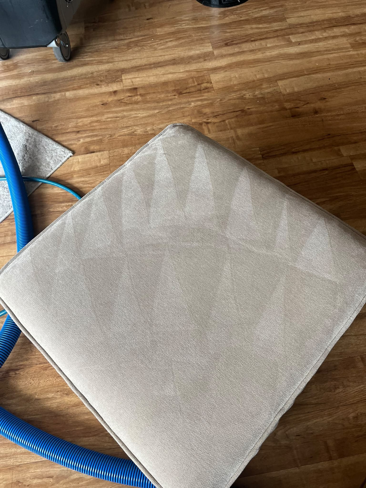Cleaned upholstery cushion after professional upholstery cleaning