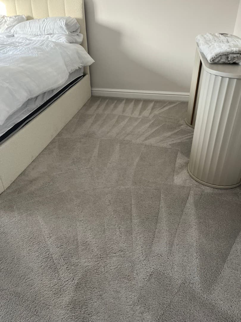 Carpet deep clean result